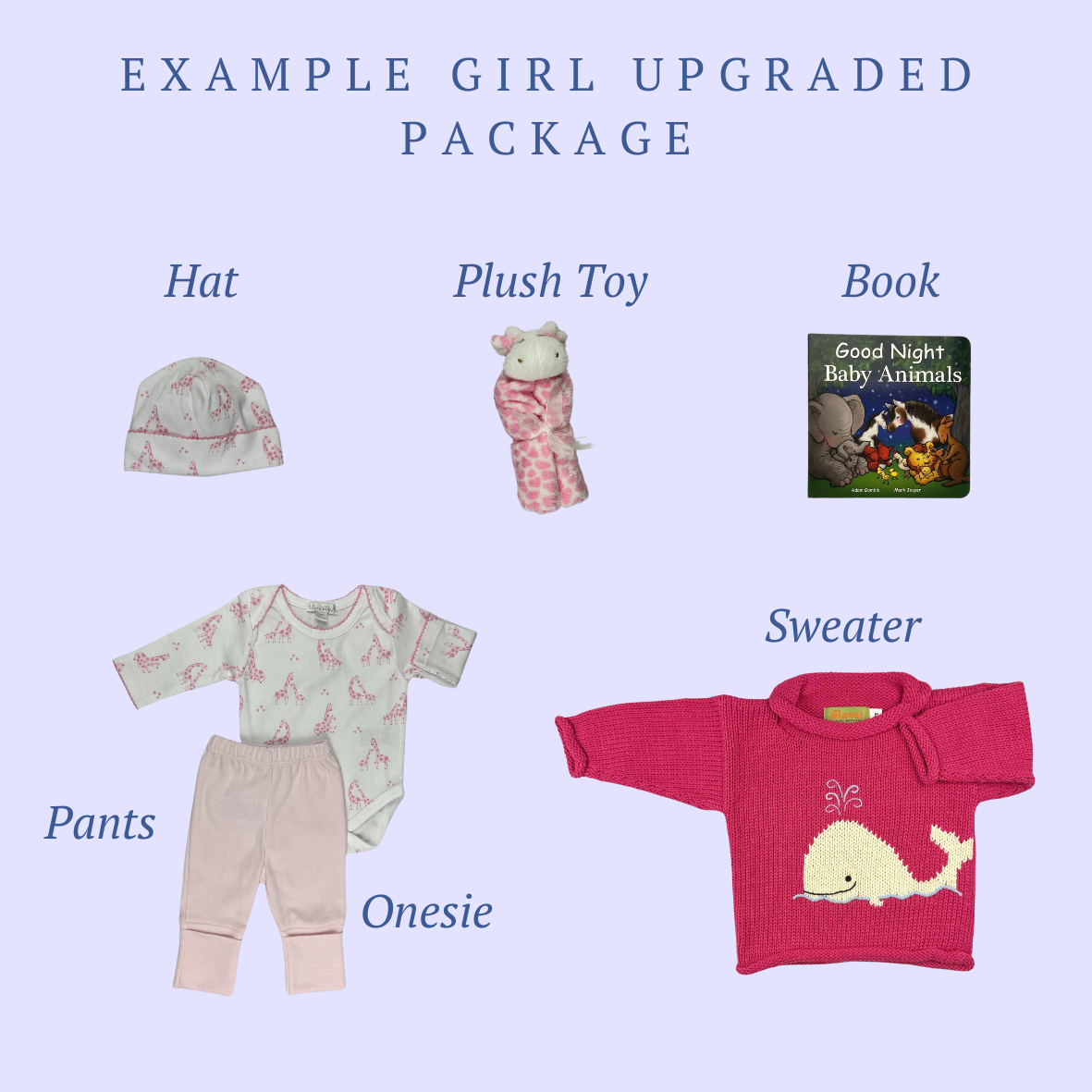 New Parent Package