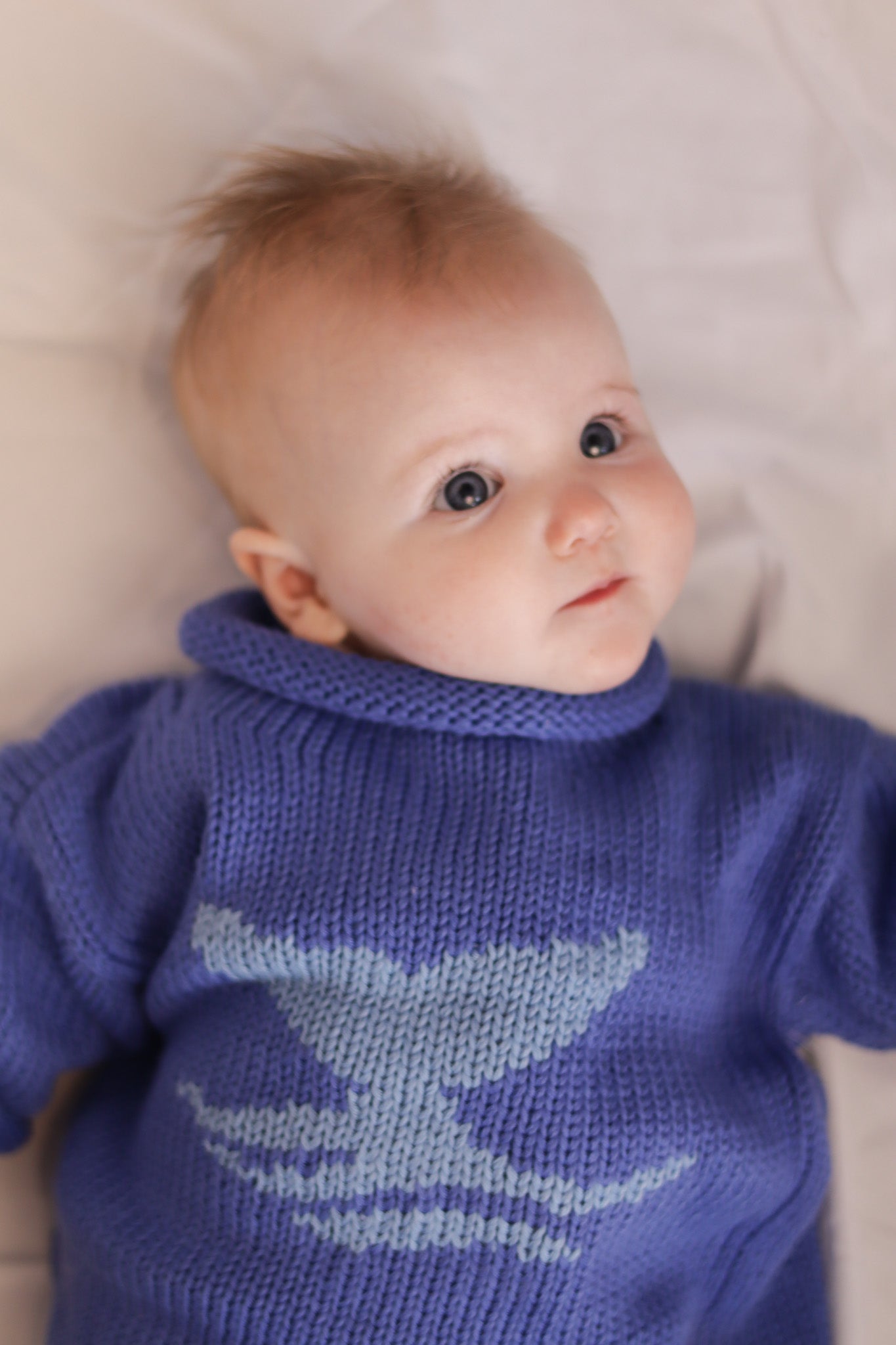 Roll Neck Whale Tail Sweater Purple