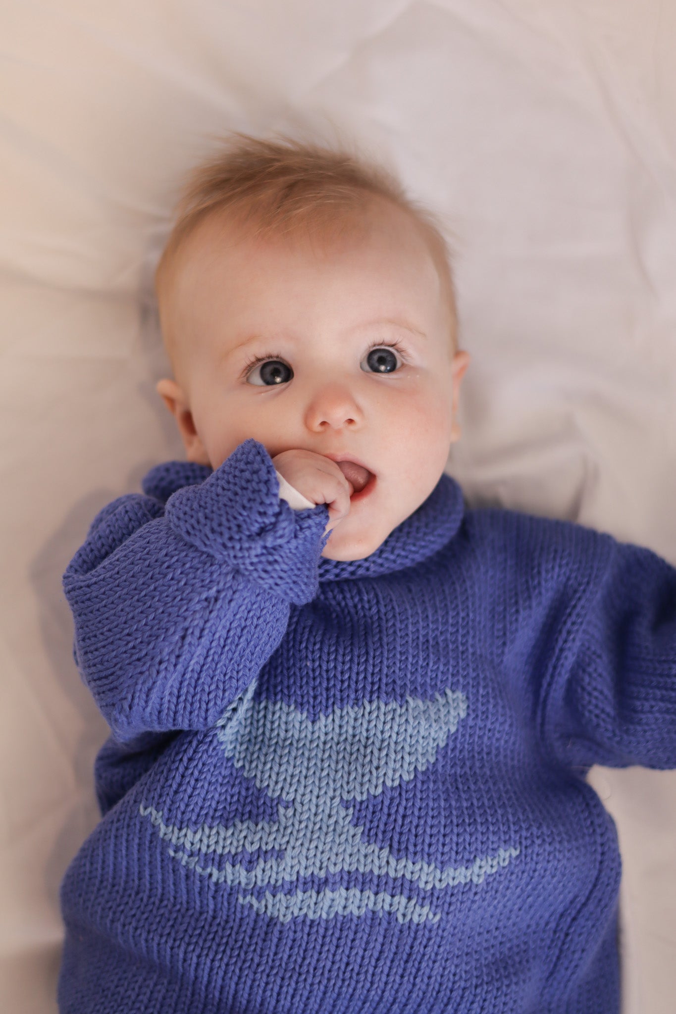 Roll Neck Whale Tail Sweater Purple