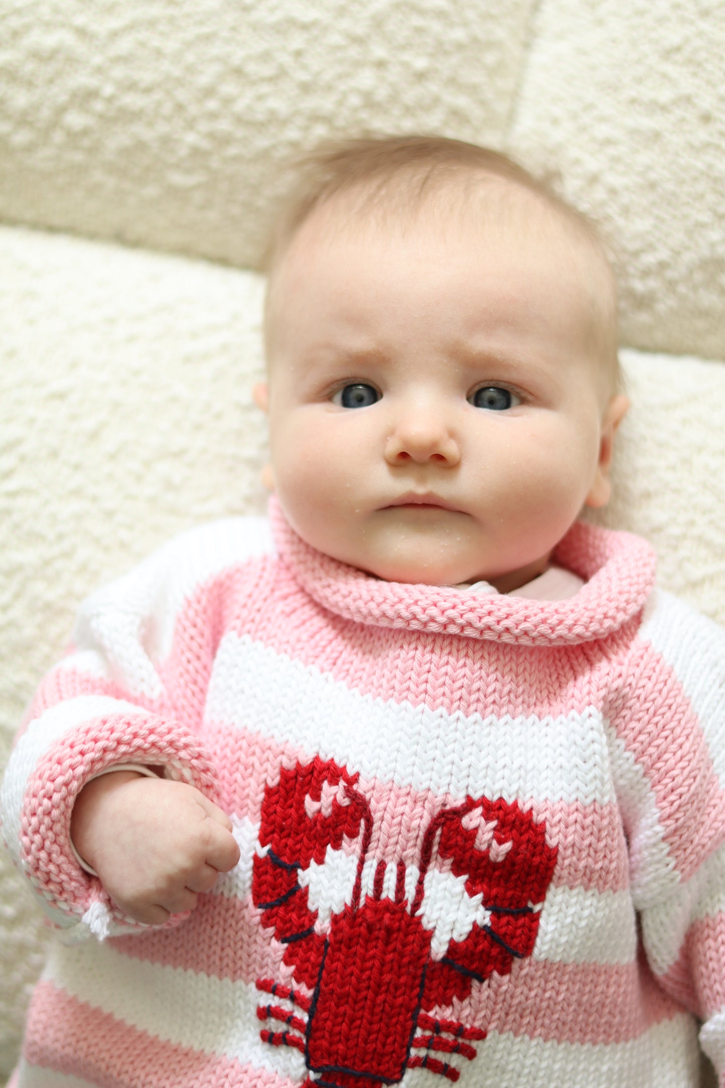 Roll Neck Striped Lobster Sweater Pink
