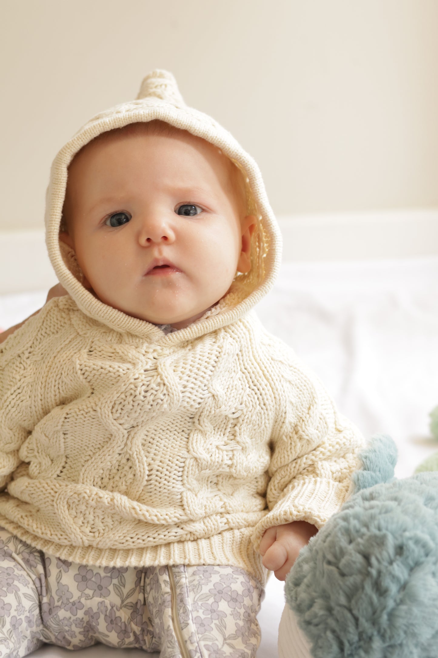 Fisherman Hooded Backzip Sweater