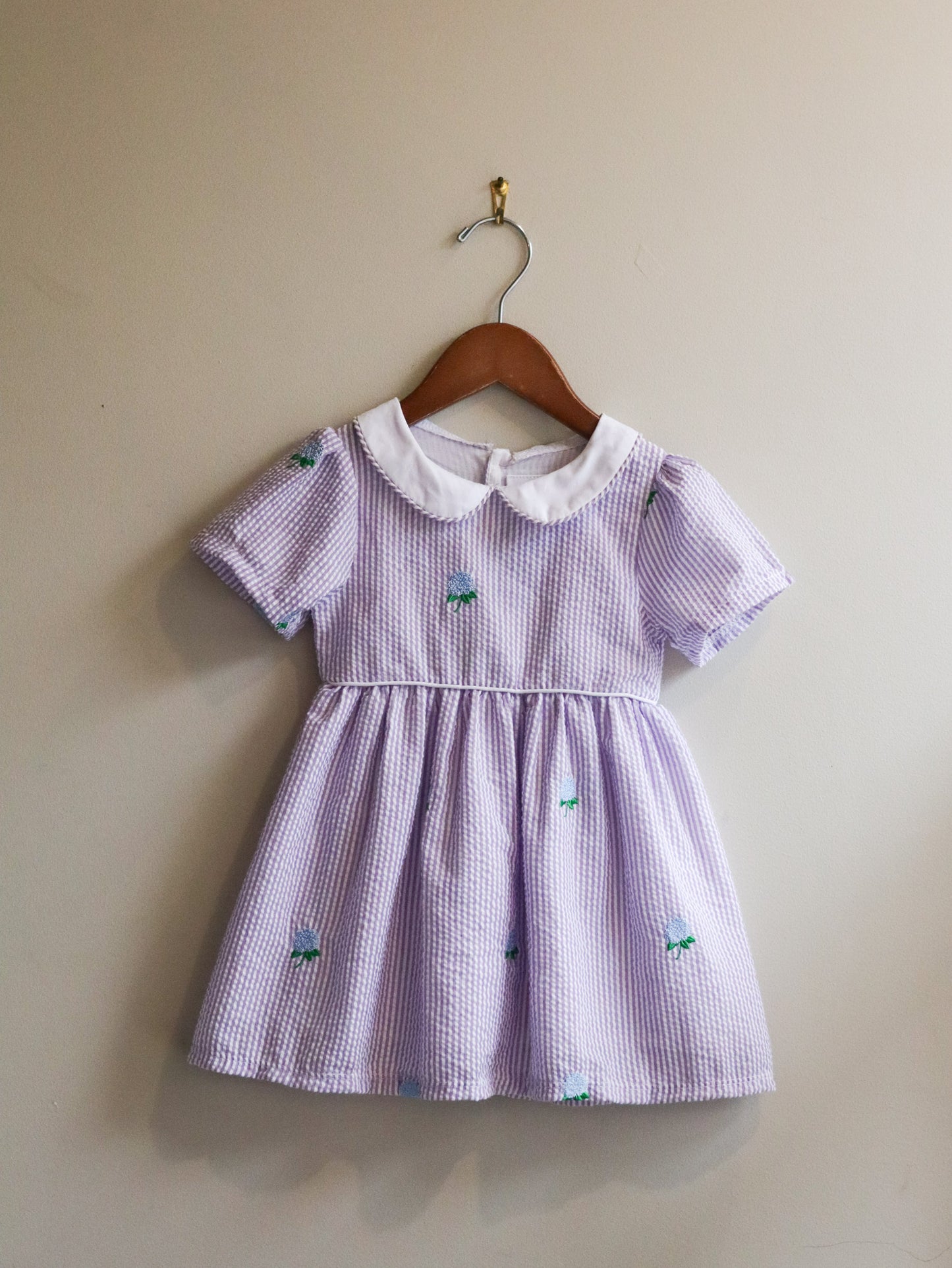 Peter Pan Dress