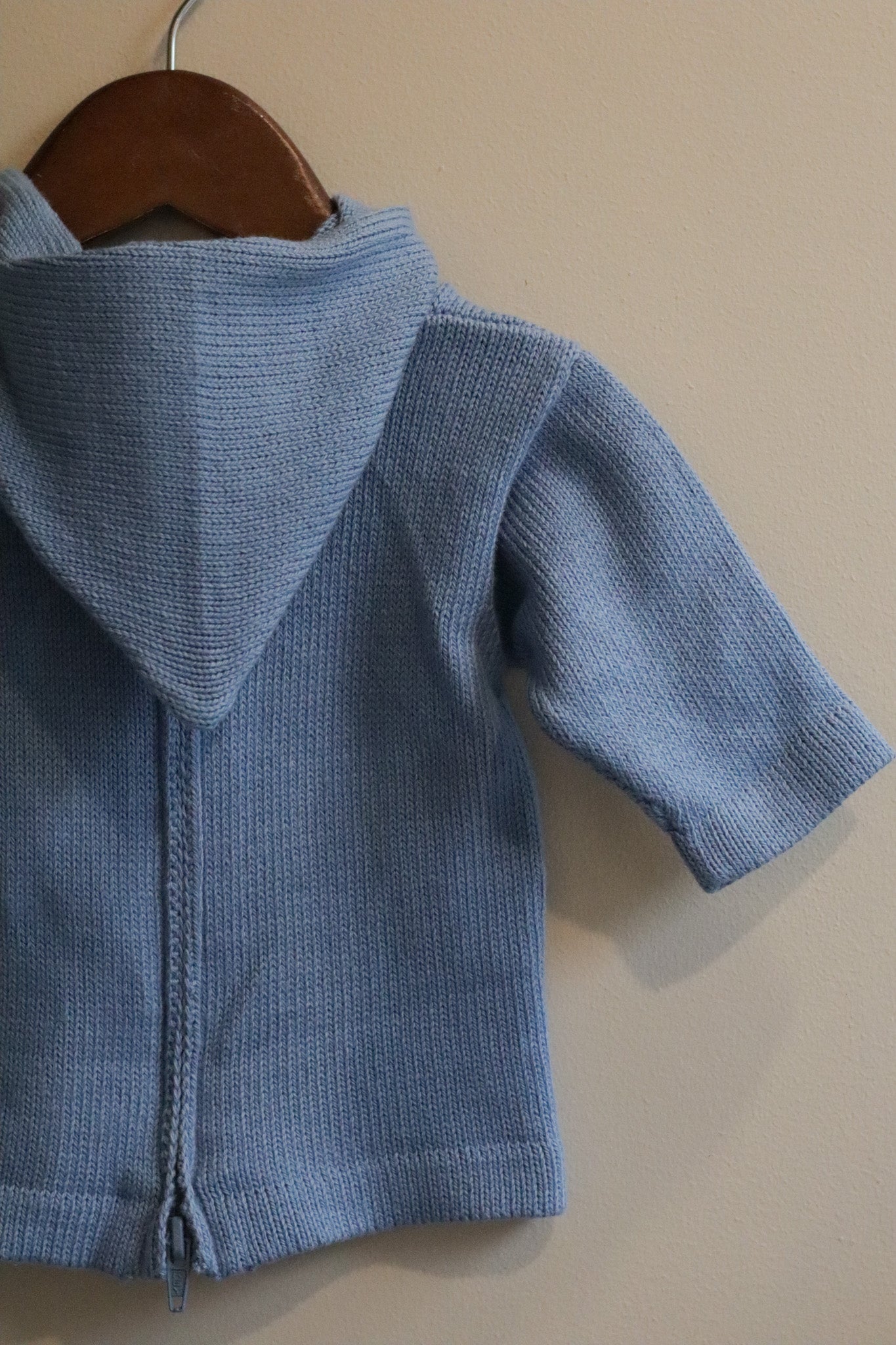 Hooded Backzip Whale Sweater Blue