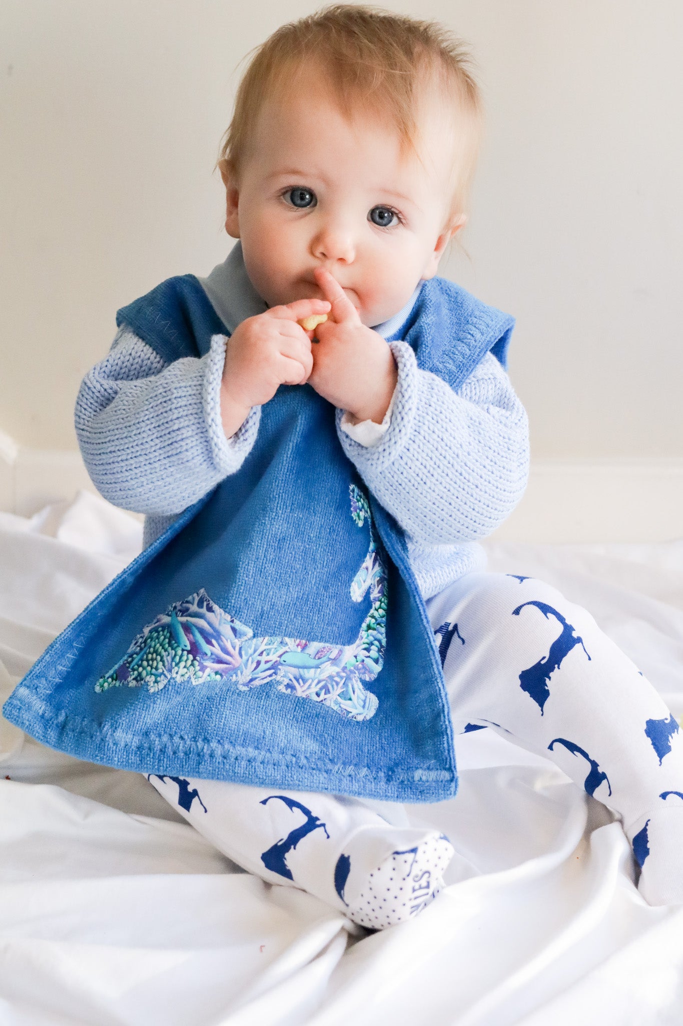 Cape Cod Baby Boy Bundle