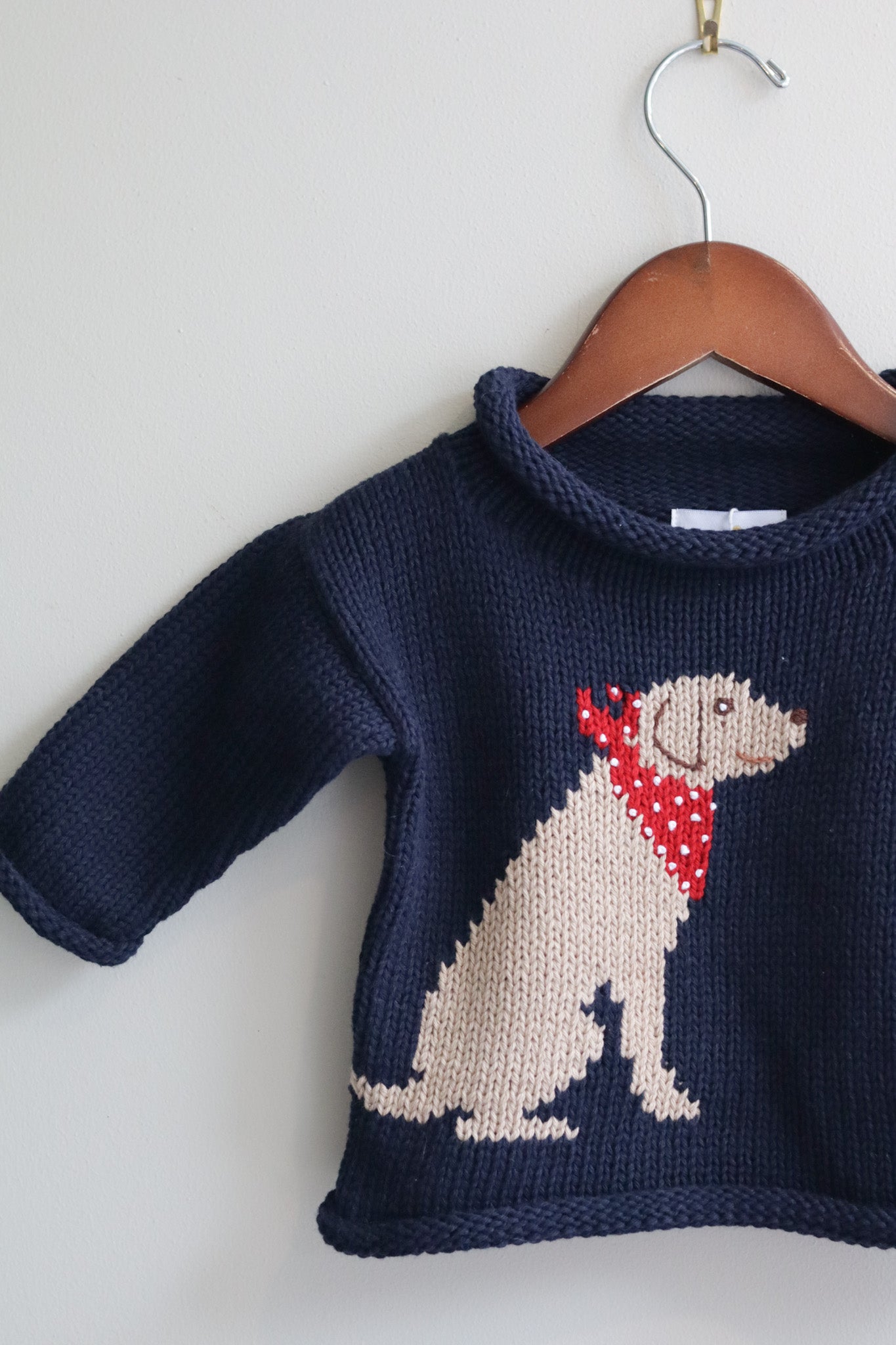 Roll Neck Dog Sweater