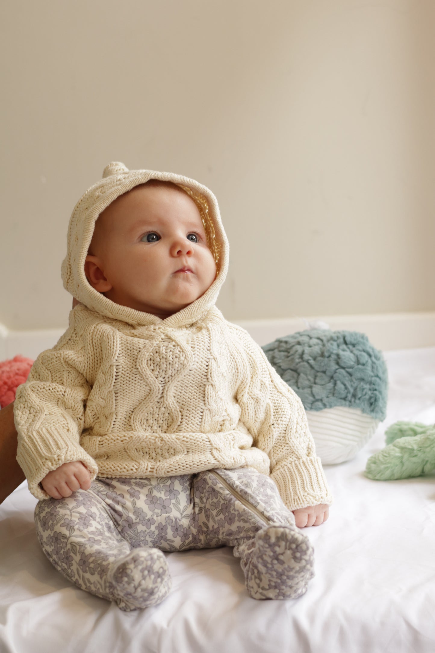 Fisherman Hooded Backzip Sweater