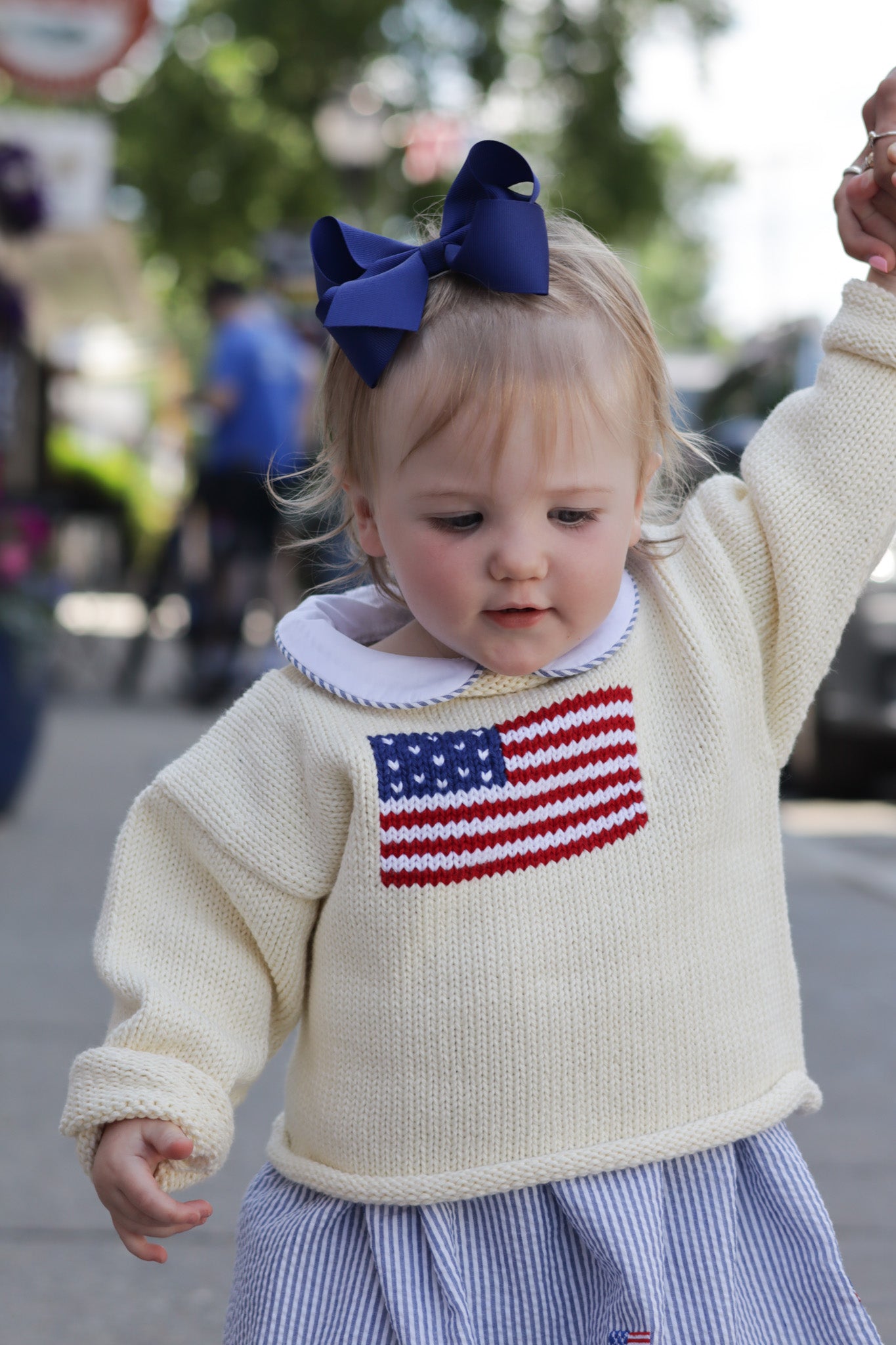 Roll Neck American Flag Sweater